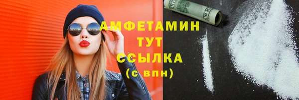 стаф Богданович