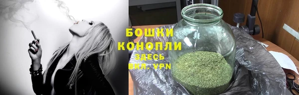 стаф Богданович