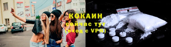 стаф Богданович