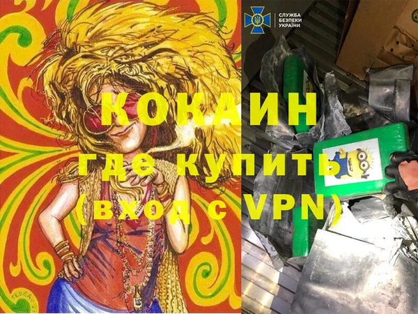 стаф Богданович