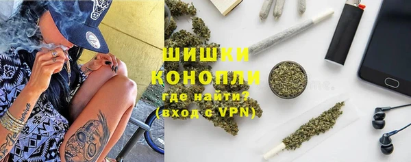 стаф Богданович