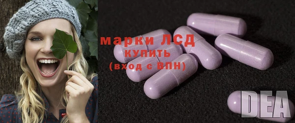 стаф Богданович